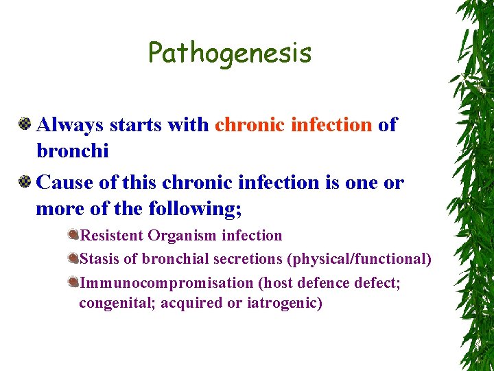 Pathogenesis Always starts with chronic infection of bronchi Cause of this chronic infection is