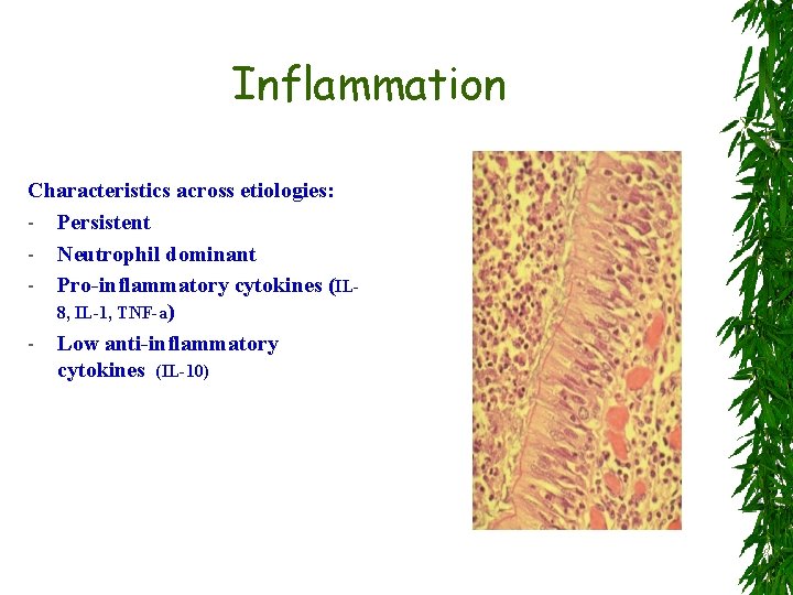 Inflammation Characteristics across etiologies: - Persistent - Neutrophil dominant - Pro-inflammatory cytokines (IL 8,