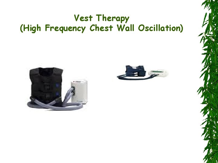 Vest Therapy (High Frequency Chest Wall Oscillation) 