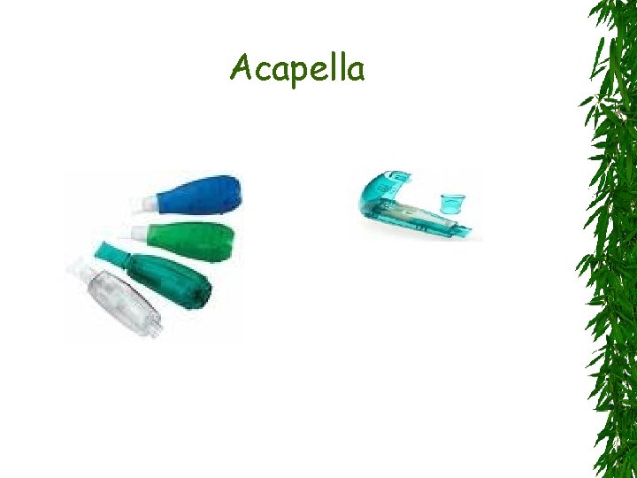 Acapella 