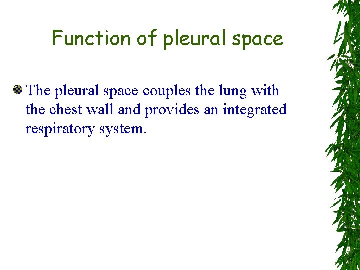 Function of pleural space The pleural space couples the lung with the chest wall