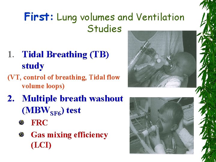 First: Lung volumes and Ventilation Studies 1. Tidal Breathing (TB) study (VT, control of