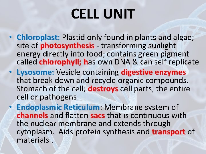 CELL UNIT • Chloroplast: Plastid only found in plants and algae; site of photosynthesis