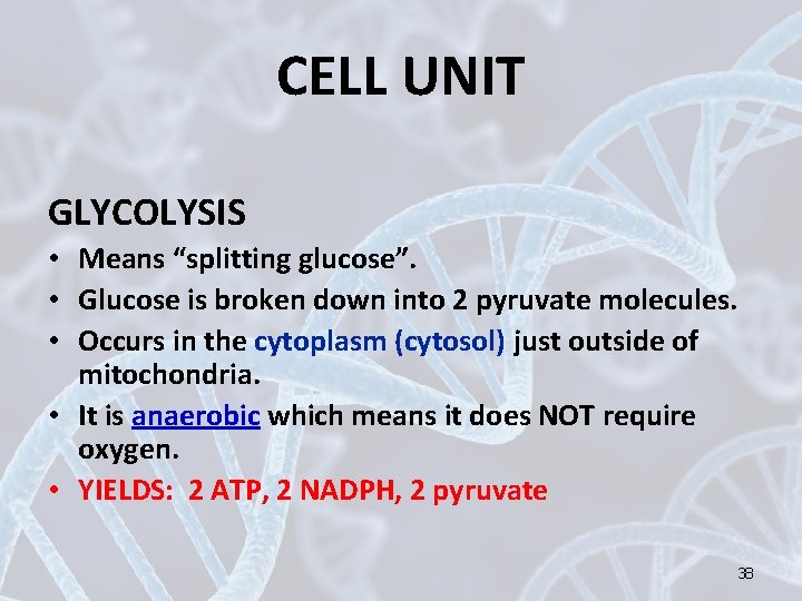 CELL UNIT GLYCOLYSIS • Means “splitting glucose”. • Glucose is broken down into 2