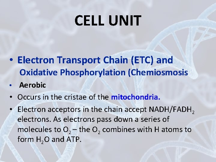 CELL UNIT • Electron Transport Chain (ETC) and Oxidative Phosphorylation (Chemiosmosis • Aerobic •