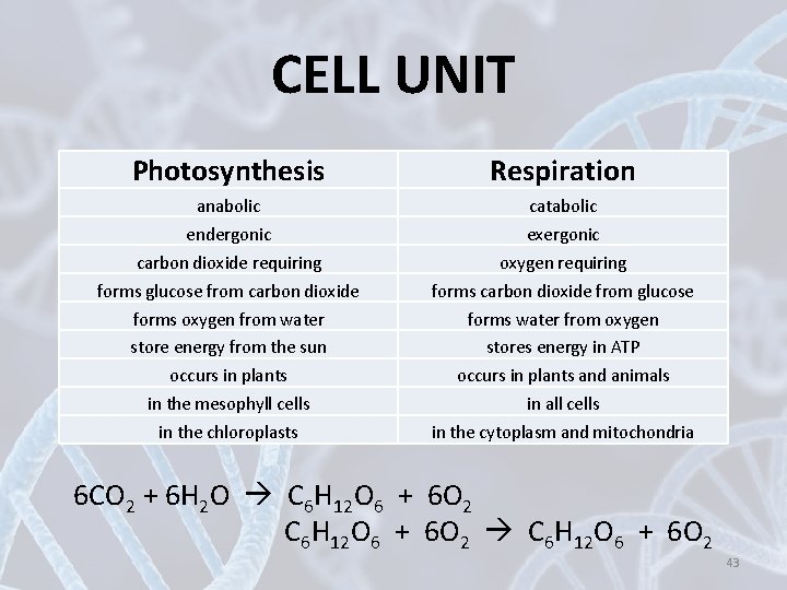 CELL UNIT Photosynthesis Respiration anabolic catabolic endergonic exergonic carbon dioxide requiring oxygen requiring forms