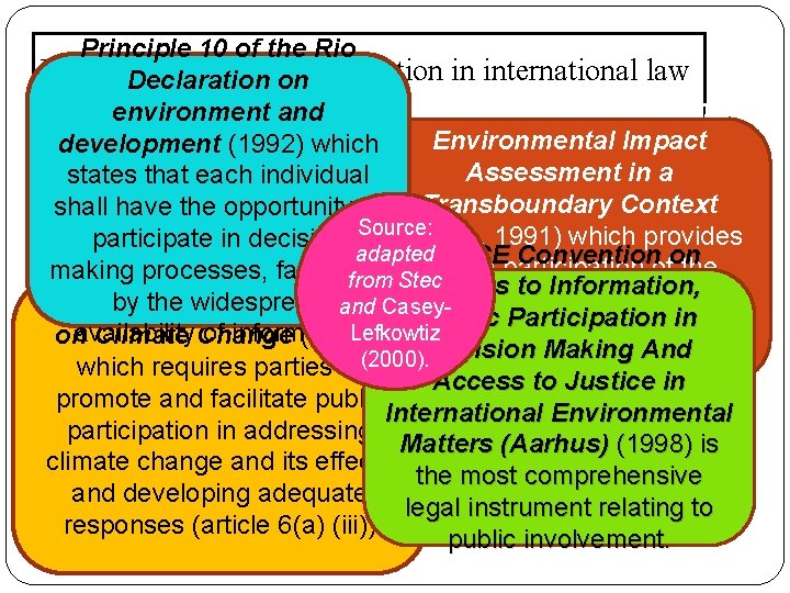 Principle 10 of the Rio Reference to publicon participation in international law Declaration and