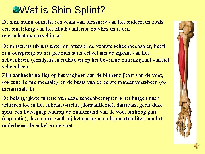 Wat is Shin Splint? De shin splint omhelst een scala van blessures van het