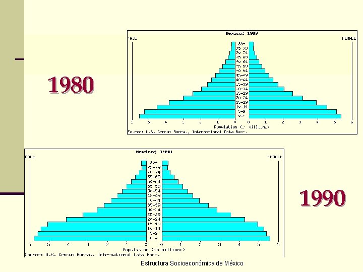1980 1990 Estructura Socioeconómica de México 