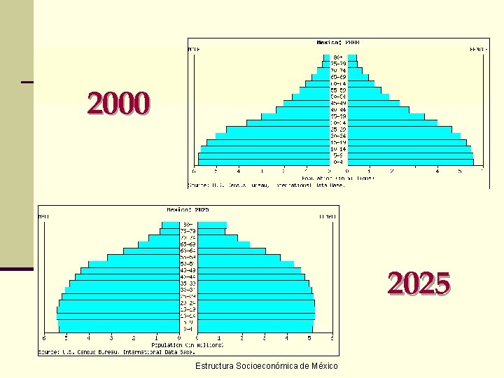 2000 2025 Estructura Socioeconómica de México 