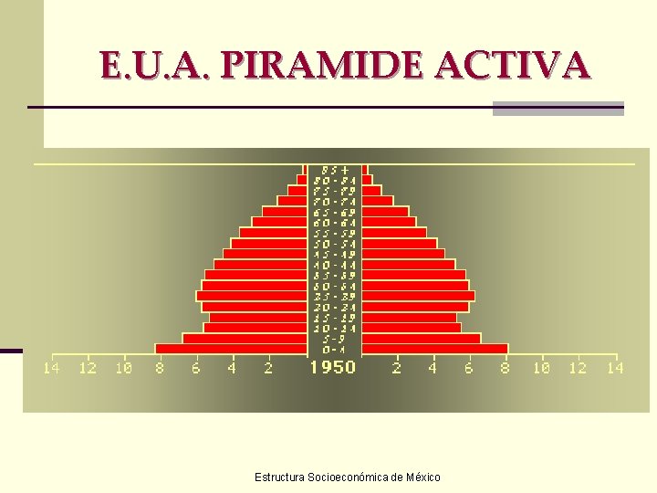 E. U. A. PIRAMIDE ACTIVA Estructura Socioeconómica de México 