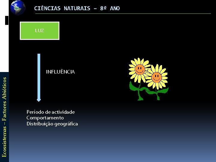 CIÊNCIAS NATURAIS – 8º ANO LUZ Ecossistemas – Factores Abióticos INFLUÊNCIA Período de actividade