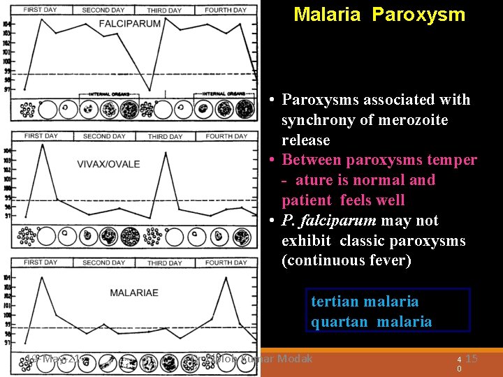 Malaria Paroxysm • Paroxysms associated with synchrony of merozoite release • Between paroxysms temper