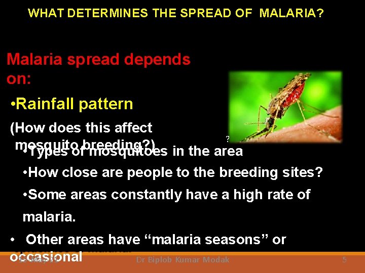 WHAT DETERMINES THE SPREAD OF MALARIA? Malaria spread depends on: • Rainfall pattern (How