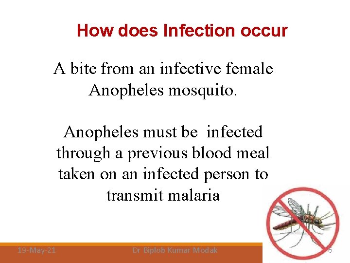 How does Infection occur A bite from an infective female Anopheles mosquito. Anopheles must