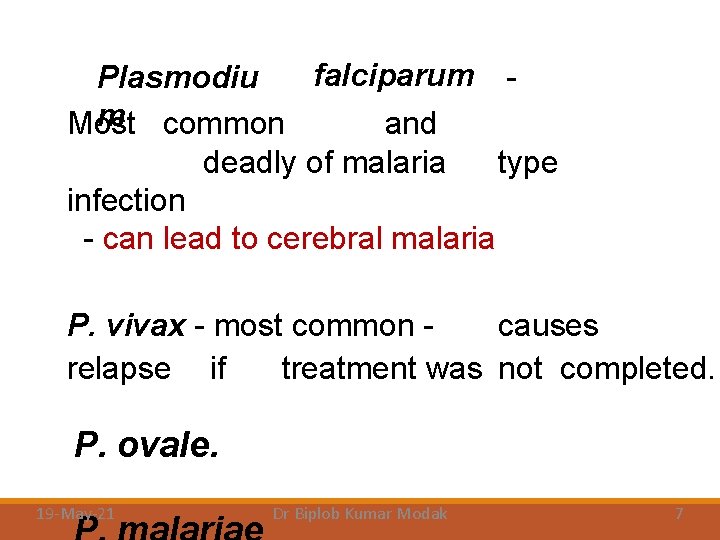 falciparum Plasmodiu m common Most and deadly of malaria type infection - can lead