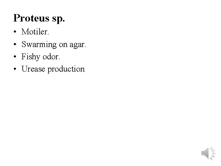 Proteus sp. • • Motiler. Swarming on agar. Fishy odor. Urease production 