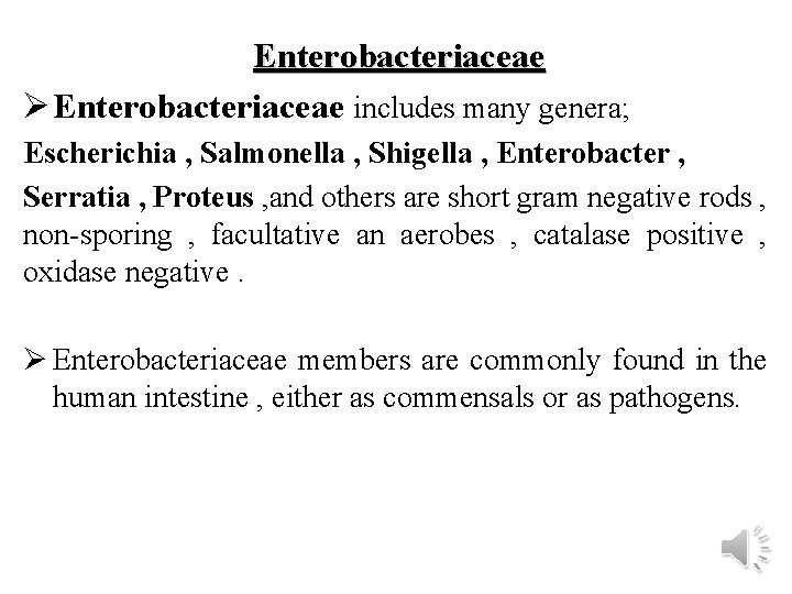 Enterobacteriaceae Ø Enterobacteriaceae includes many genera; Escherichia , Salmonella , Shigella , Enterobacter ,