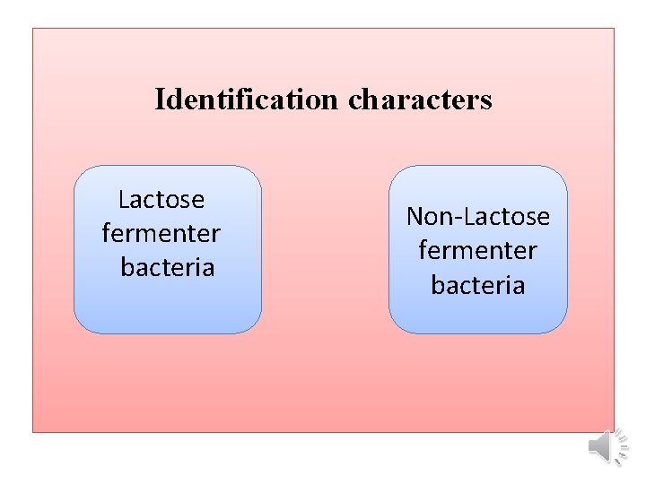 Identification characters Lactose fermenter bacteria Non-Lactose fermenter bacteria 