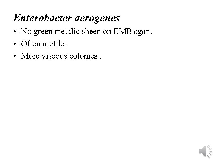 Enterobacter aerogenes • No green metalic sheen on EMB agar. • Often motile. •