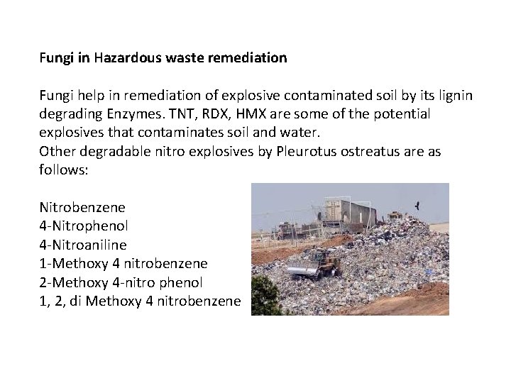 Fungi in Hazardous waste remediation Fungi help in remediation of explosive contaminated soil by