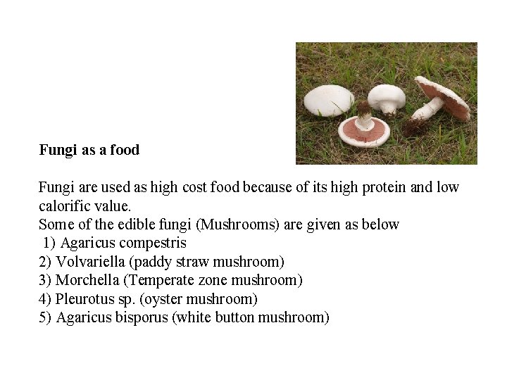 Fungi as a food Fungi are used as high cost food because of its