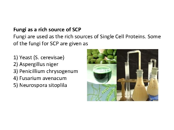 Fungi as a rich source of SCP Fungi are used as the rich sources
