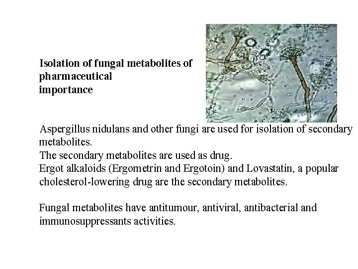 Isolation of fungal metabolites of pharmaceutical importance Aspergillus nidulans and other fungi are used