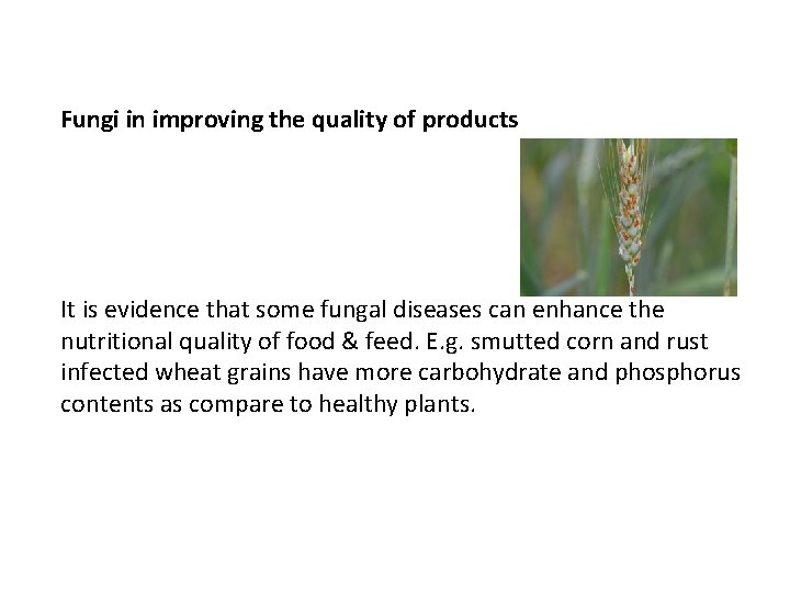 Fungi in improving the quality of products It is evidence that some fungal diseases
