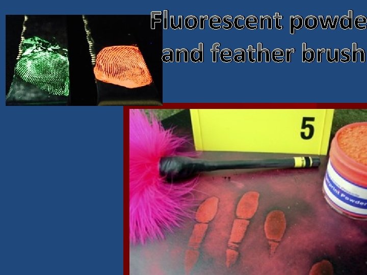 Fluorescent powde and feather brush 