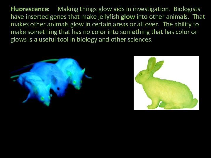 Fluorescence: Making things glow aids in investigation. Biologists have inserted genes that make jellyfish