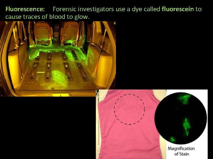Fluorescence: Forensic investigators use a dye called fluorescein to cause traces of blood to