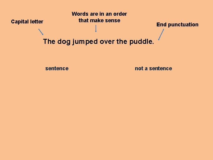 Words are in an order that make sense Capital letter End punctuation The dog