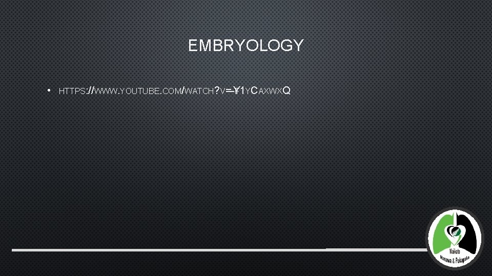 EMBRYOLOGY • HTTPS: //WWW. YOUTUBE. COM/WATCH? V=-Y F 1 YCAXWXQ 