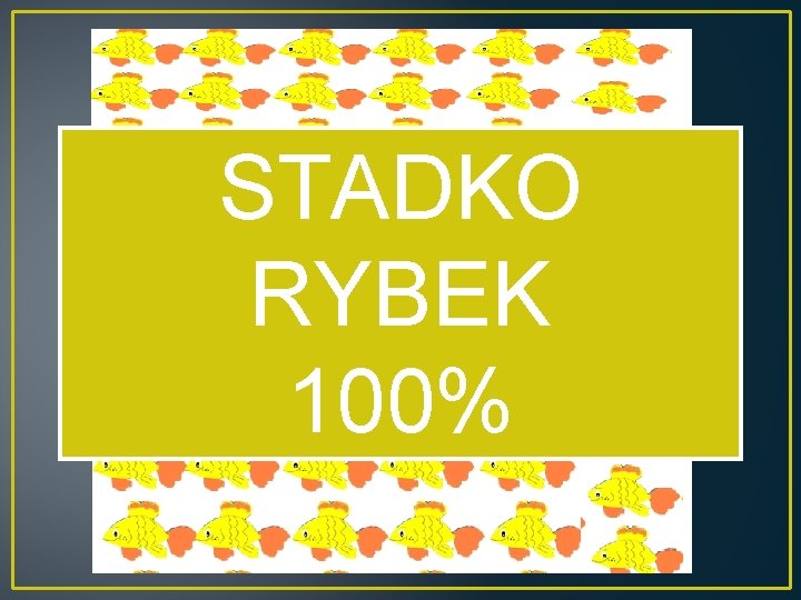 STADKO RYBEK 100% 