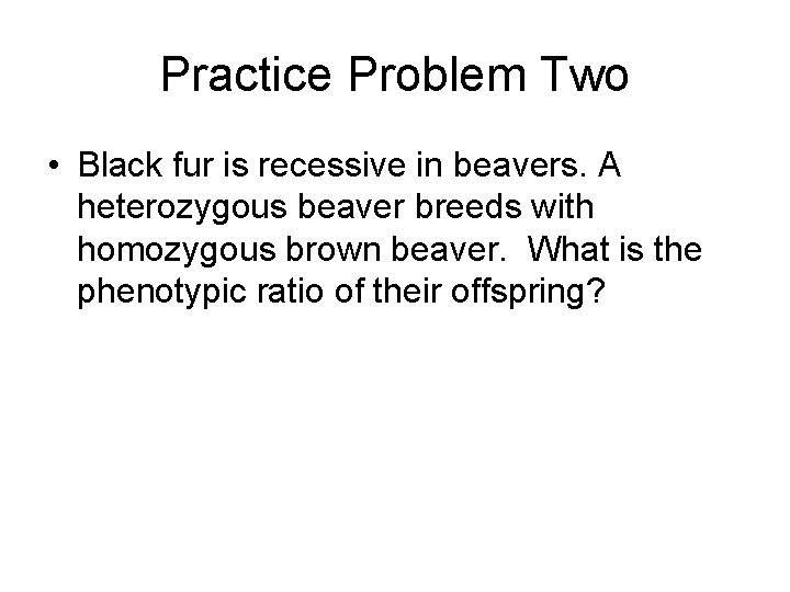 Practice Problem Two • Black fur is recessive in beavers. A heterozygous beaver breeds