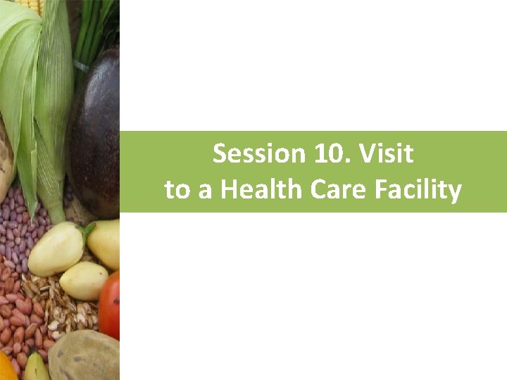 Session 10. Visit to a Health Care Facility 