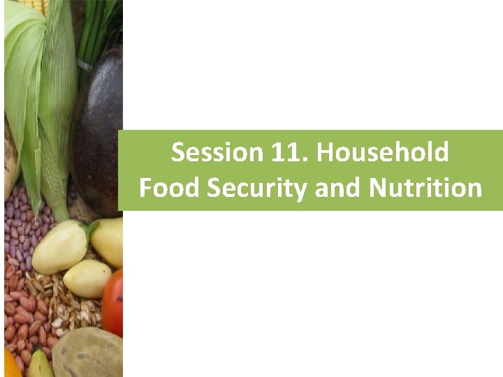 Session 11. Household Food Security and Nutrition 