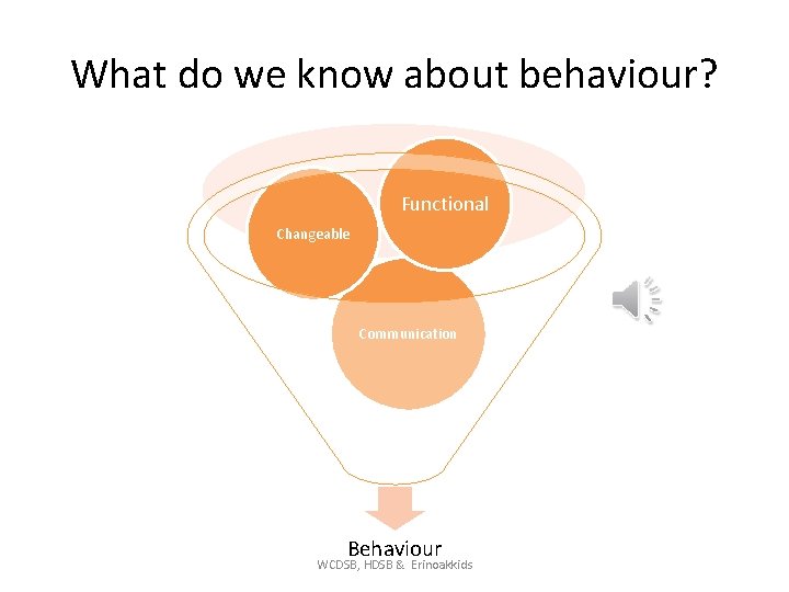 What do we know about behaviour? Functional Changeable Communication Behaviour WCDSB, HDSB & Erinoakkids