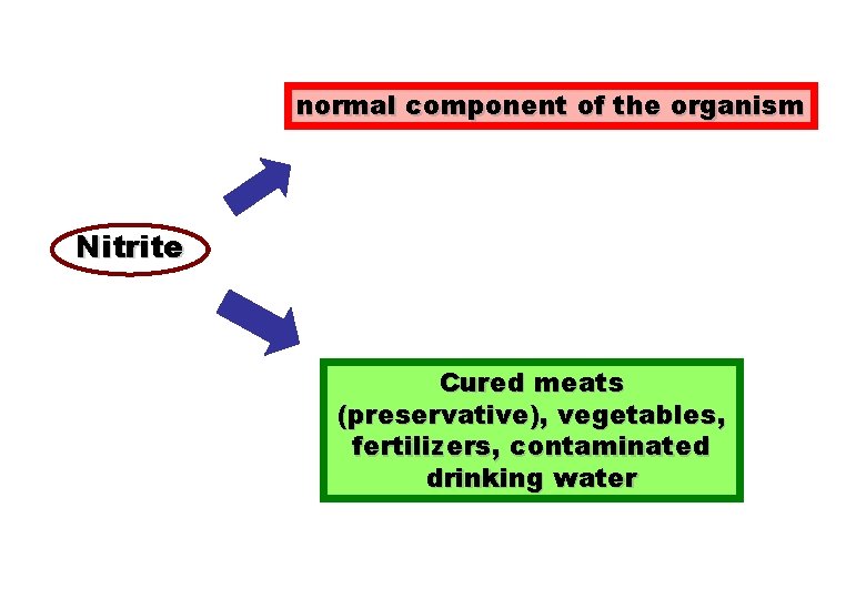 normal component of the organism Nitrite Cured meats (preservative), vegetables, fertilizers, contaminated drinking water