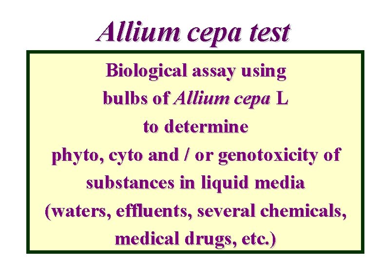 Allium cepa test Biological assay using bulbs of Allium cepa L to determine phyto,