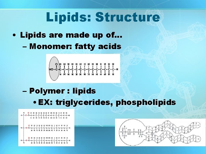 Lipids: Structure • Lipids are made up of… – Monomer: fatty acids – Polymer Lipids: Structure • Lipids are made up of… – Monomer: fatty acids – Polymer