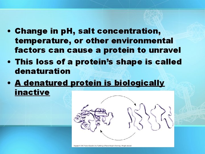 • Change in p. H, salt concentration, temperature, or other environmental factors can • Change in p. H, salt concentration, temperature, or other environmental factors can