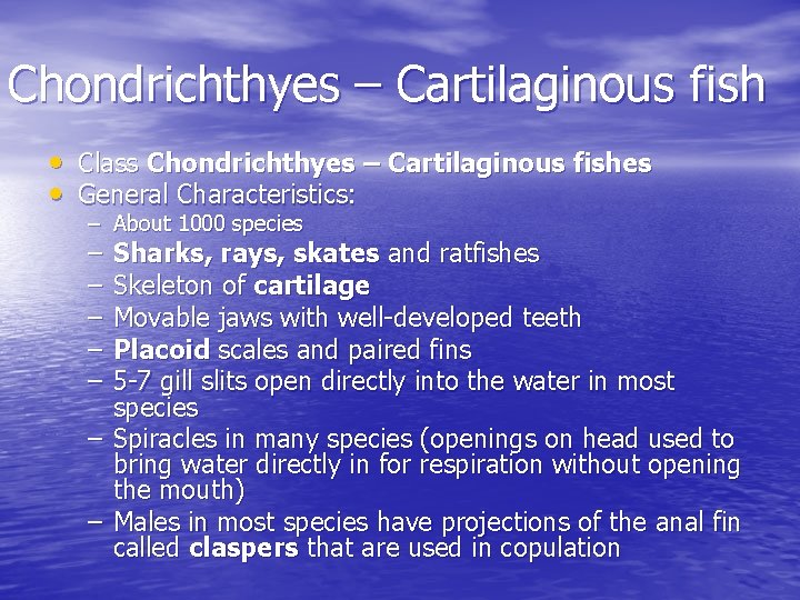 Chondrichthyes – Cartilaginous fish • Class Chondrichthyes – Cartilaginous fishes • General Characteristics: – Chondrichthyes – Cartilaginous fish • Class Chondrichthyes – Cartilaginous fishes • General Characteristics: –