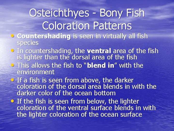 Osteichthyes - Bony Fish Coloration Patterns • Countershading is seen in virtually all fish Osteichthyes - Bony Fish Coloration Patterns • Countershading is seen in virtually all fish
