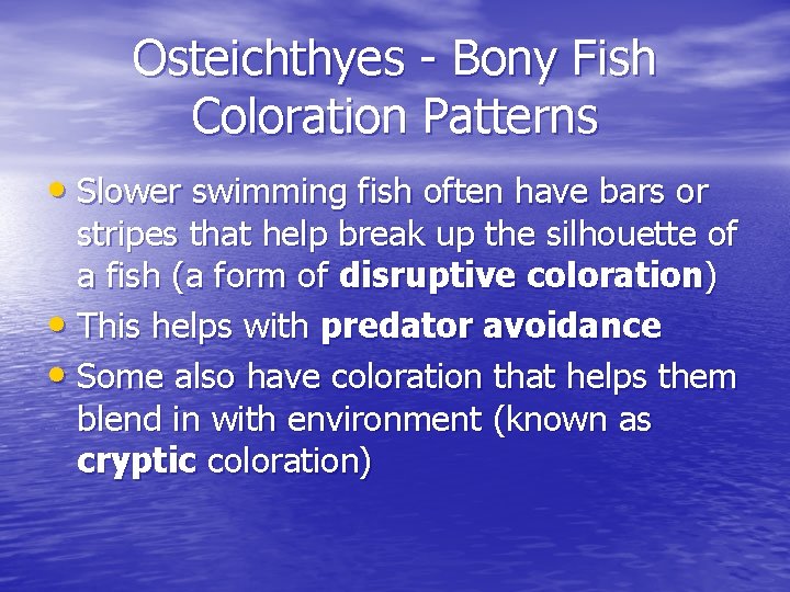 Osteichthyes - Bony Fish Coloration Patterns • Slower swimming fish often have bars or Osteichthyes - Bony Fish Coloration Patterns • Slower swimming fish often have bars or