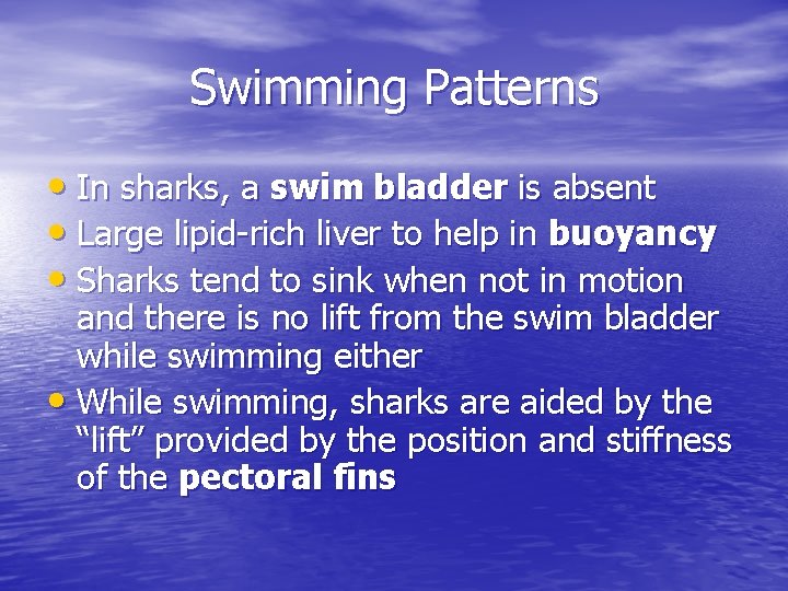 Swimming Patterns • In sharks, a swim bladder is absent • Large lipid-rich liver Swimming Patterns • In sharks, a swim bladder is absent • Large lipid-rich liver