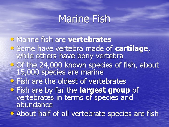 Marine Fish • Marine fish are vertebrates • Some have vertebra made of cartilage, Marine Fish • Marine fish are vertebrates • Some have vertebra made of cartilage,