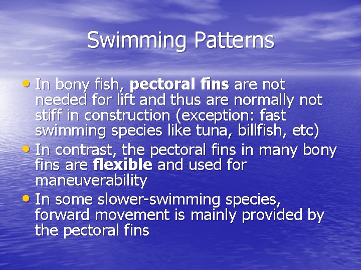 Swimming Patterns • In bony fish, pectoral fins are not needed for lift and Swimming Patterns • In bony fish, pectoral fins are not needed for lift and