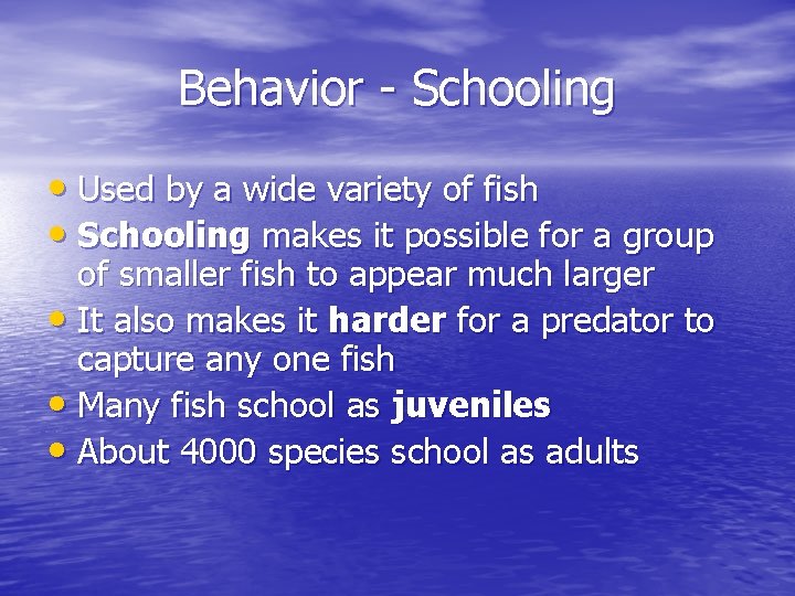 Behavior - Schooling • Used by a wide variety of fish • Schooling makes Behavior - Schooling • Used by a wide variety of fish • Schooling makes